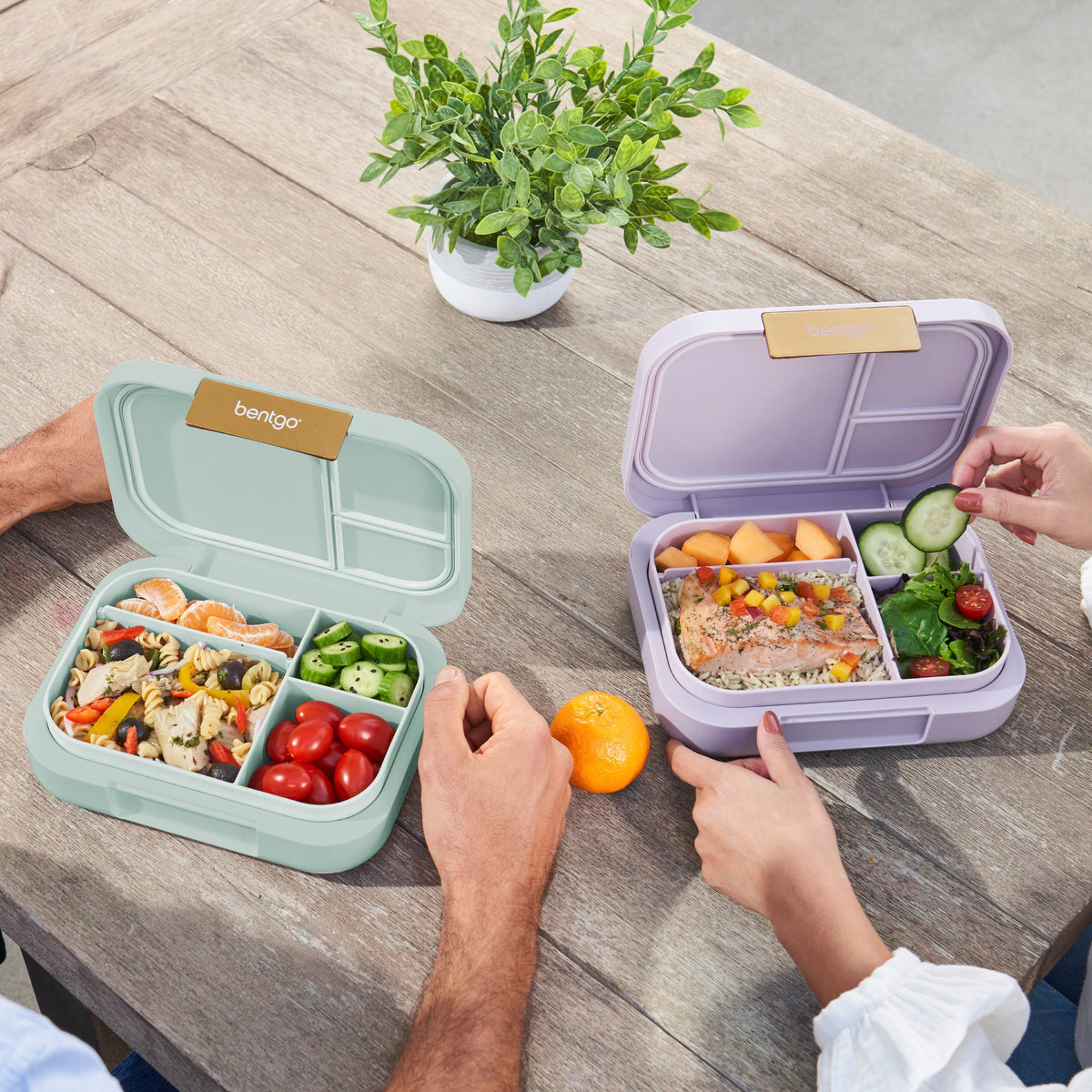 bentgo-modern-lunch-box-2-pack-w3 COSTCOBMCPRODUCTIMAGE_2.jpg
